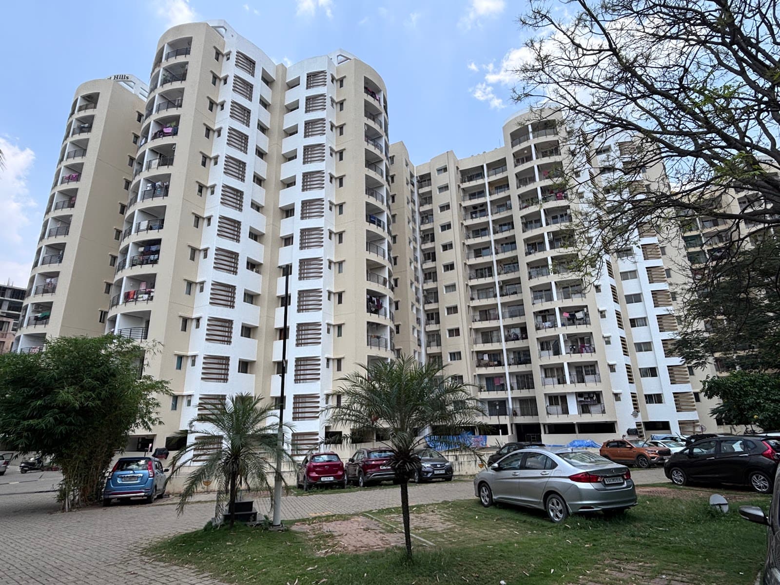 Project elevation