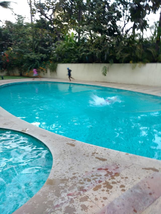 Project view