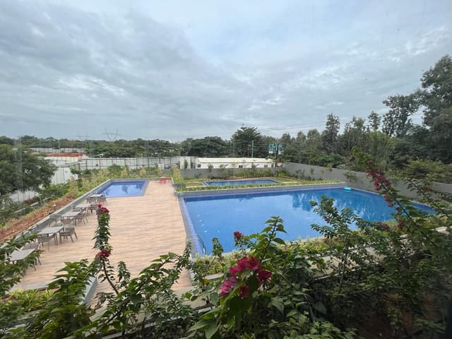 Project view