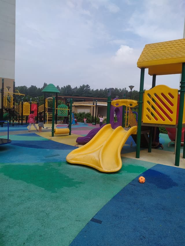Project view