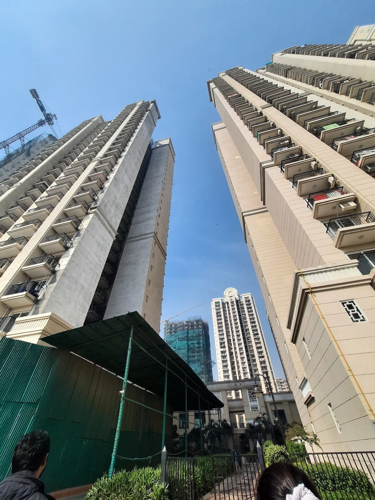Project elevation