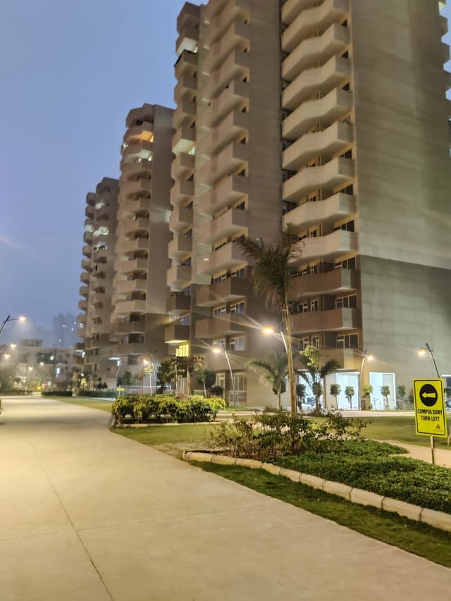 Project view