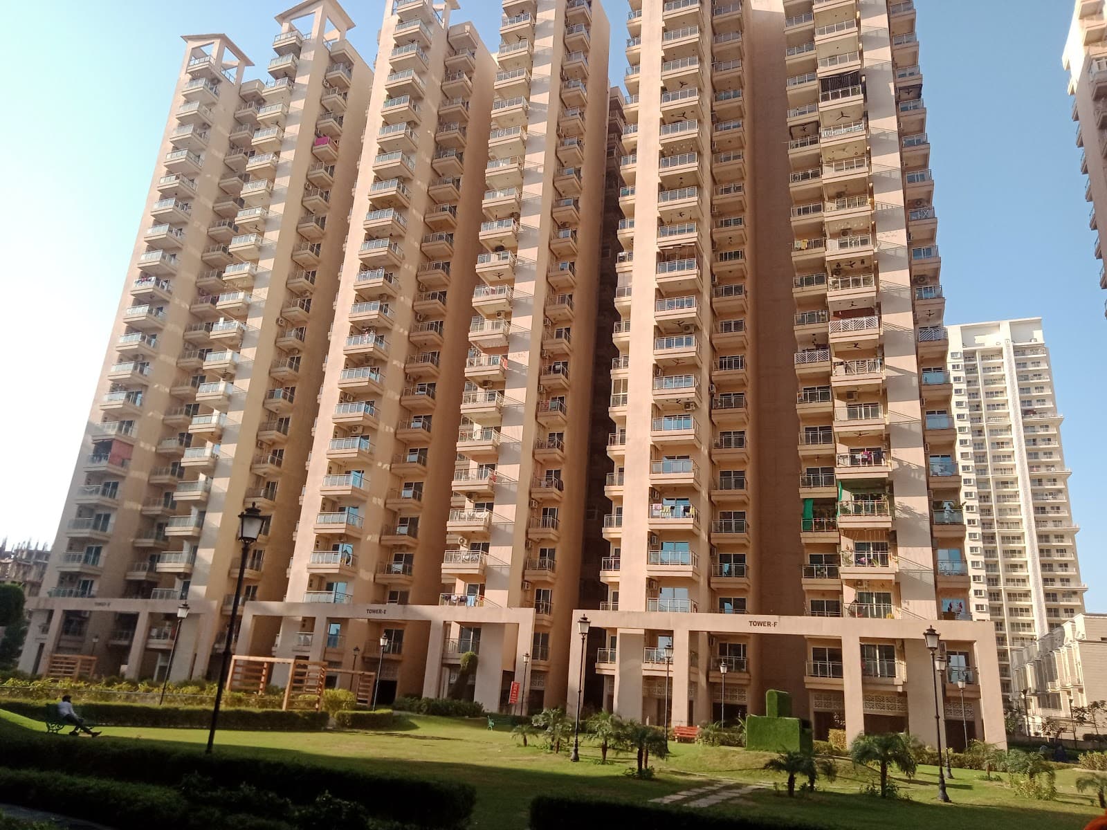 Gaur Sportswood