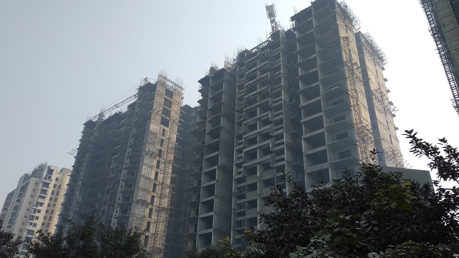 Project elevation